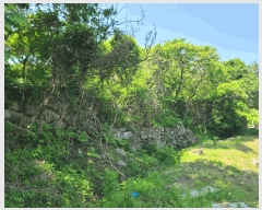  2025Ÿ21335 泲  Ͽ ҵ 338-7      ()