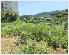  2025Ÿ21335 泲  Ͽ ҵ 338-7      ()