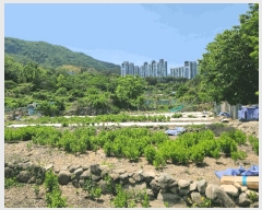  2025Ÿ21335 泲  Ͽ ҵ 338-7      ()