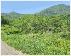  2025Ÿ21335 泲  Ͽ ҵ 338-7      ()