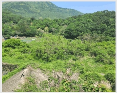  2025Ÿ21335 泲  Ͽ ҵ 338-7      ()