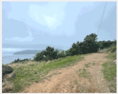  2025Ÿ��21354  ����