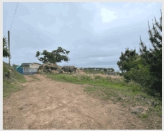  2025Ÿ��21354  ����