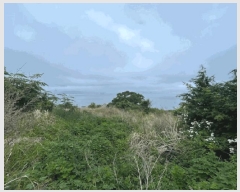  2025Ÿ��21354  ����