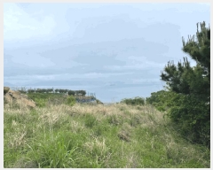  2025Ÿ��21354  ����