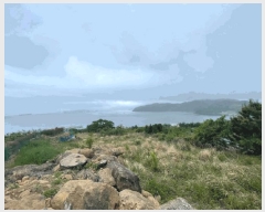  2025Ÿ��21354  ����