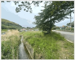  2025Ÿ��21354  ����