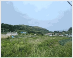  2025Ÿ��21354  ����