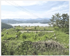  2025Ÿ21361 泲  ŷ  1583      Ÿ