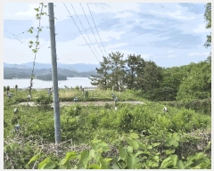  2025Ÿ21361 泲  ŷ  1583      Ÿ