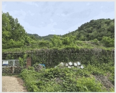  2025Ÿ21361 泲  ŷ  1583      Ÿ