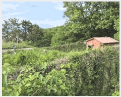  2025Ÿ21361 泲  ŷ  1583      Ÿ