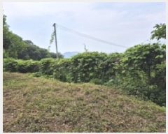  2025Ÿ21361 泲  ŷ  1583      Ÿ