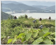  2025Ÿ21361 泲  ŷ  1583      Ÿ