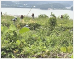  2025Ÿ21361 泲  ŷ  1583      Ÿ