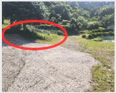  2025Ÿ21416 泲   û 735-3      ð