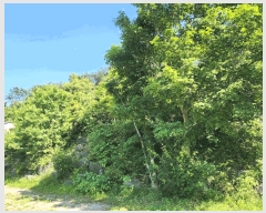  2025Ÿ21416 泲   û 735-3      ð