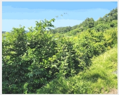  2025Ÿ21416 泲   û 735-3      ð