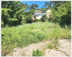  2025Ÿ21416 泲   û 735-3      ð