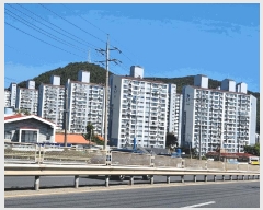  2025Ÿ��21431  ����Ʈ���