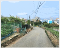  2025Ÿ21439 泲  ʸ ѳ 66      (1)