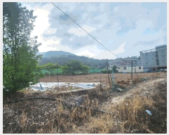  2025Ÿ21439 泲  ʸ ѳ 66      (1)