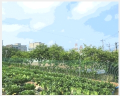  2025Ÿ21439 泲  ʸ ѳ 66      (1)