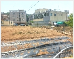  2025Ÿ21439 泲  ʸ ѳ 66      (1)