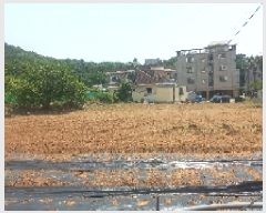  2025Ÿ21439 泲  ʸ ѳ 66      (1)