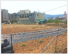  2025Ÿ21439 泲  ʸ ѳ 66      (1)