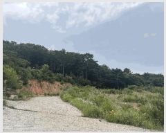  2025Ÿ��21446  �����