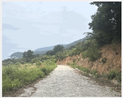  2025Ÿ��21446 �泲 ������ �Ͽ�� ��ġ�� 247-42      ����(��1)���