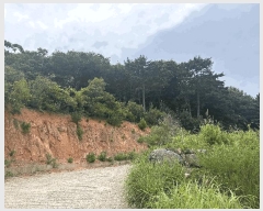  2025Ÿ��21446 �泲 ������ �Ͽ�� ��ġ�� 247-42      ����(��1)���