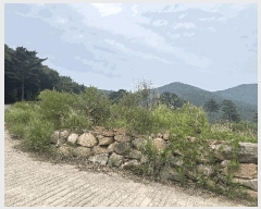  2025Ÿ��21446 �泲 ������ �Ͽ�� ��ġ�� 247-42      ����(��1)���