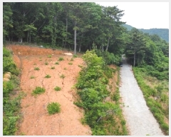  2025Ÿ��21446 �泲 ������ �Ͽ�� ��ġ�� 247-42      ����(��1)���