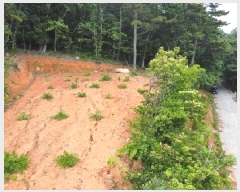  2025Ÿ��21446 �泲 ������ �Ͽ�� ��ġ�� 247-42      ����(��1)���