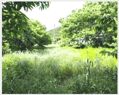  2025Ÿ��21479 �泲 �뿵�� ������ �׸��� 1159      ����(��)���