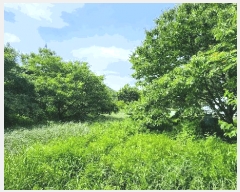  2025Ÿ��21479 �泲 �뿵�� ������ �׸��� 1159      ����(��)���