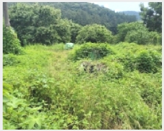  2025Ÿ��21479 �泲 �뿵�� ������ �׸��� 1159      ����(��)���