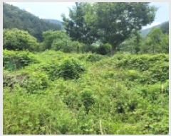  2025Ÿ��21479 �泲 �뿵�� ������ �׸��� 1159      ����(��)���