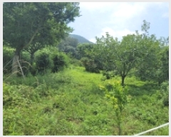  2025Ÿ��21479 �泲 �뿵�� ������ �׸��� 1159      ����(��)���