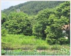  2025Ÿ��21479 �泲 �뿵�� ������ �׸��� 1159      ����(��)���