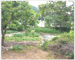  2025Ÿ��21512 �泲 ������ ���ʸ� �ѳ��� 577      ����(����)���