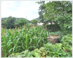  2025Ÿ��21512 �泲 ������ ���ʸ� �ѳ��� 577      ����(����)���