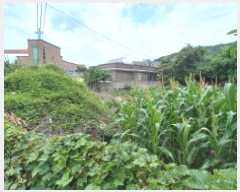  2025Ÿ��21512 �泲 ������ ���ʸ� �ѳ��� 577      ����(����)���