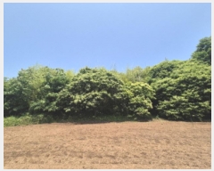  2025Ÿ��21520 �泲 ������ �󸮸� ������ 599      ����(��1)���