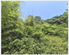  2025Ÿ��21520 �泲 ������ �󸮸� ������ 599      ����(��1)���