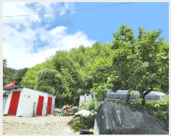  2025Ÿ��21528 �泲 ������ �д��� �Ÿ��� 844      ����(��1)���