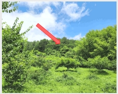  2025Ÿ��21528 �泲 ������ �д��� �Ÿ��� 844      ����(��1)���