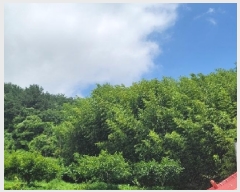  2025Ÿ��21528 �泲 ������ �д��� �Ÿ��� 844      ����(��1)���